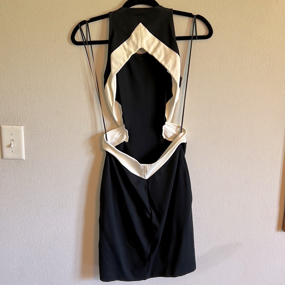 Express Dress - Picture 3 of 3